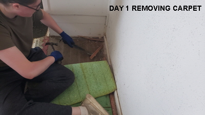 10DAY1CARPET