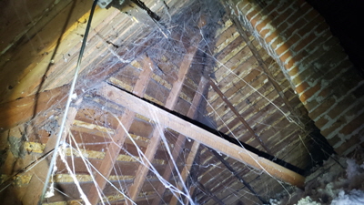 29ATTIC W