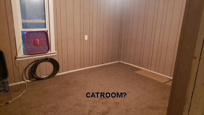 6CATROOM